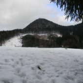 priroda