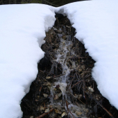 konečne počuť ich žblnkot