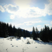 priroda