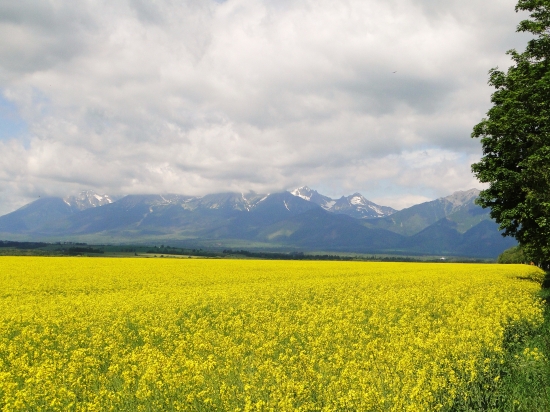 Tatry