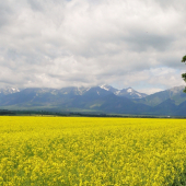 Tatry