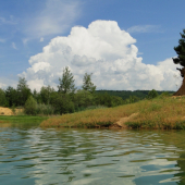 Ružiná