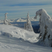 Prechod zamrznutou krajinou