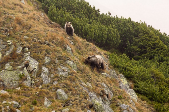 Čo tam máš dobrého?
