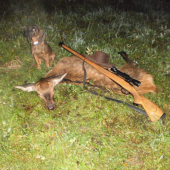 prvá úspešná dohladávka