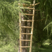Posedík