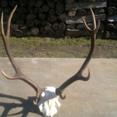 Zimná daň po vyvarení