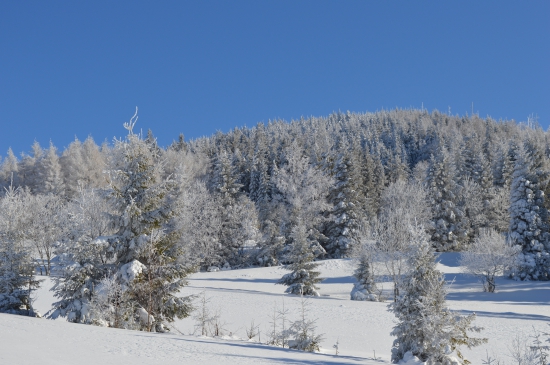 Levočské vrchy v zime