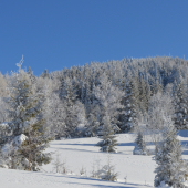 Levočské vrchy v zime