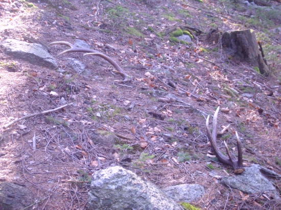 po roku opät spolu :))))