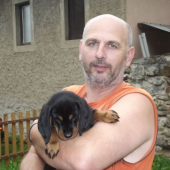 novy člen rodiny