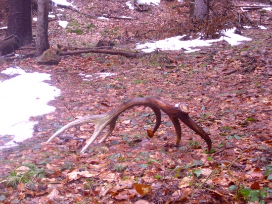 minulorocny po vybrati spod snehu