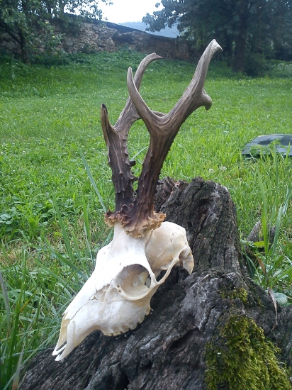 Medailový