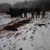 po spolocnej polovacke