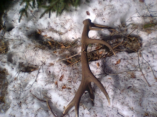 paradne sobotne dopoludnie