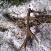 paradne sobotne dopoludnie