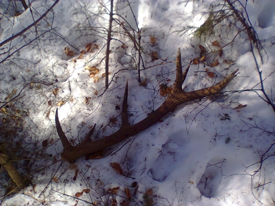 po 2 dnoch hladania mam konecne para