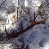 po 2 dnoch hladania mam konecne para