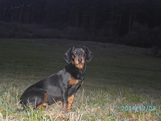 5apol mesacna jorda z hrahovskeho vršku