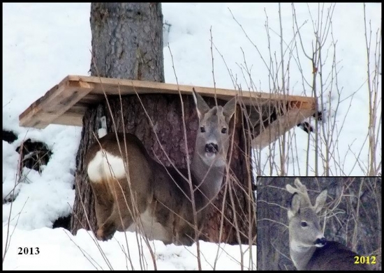 pohľad z okna :)