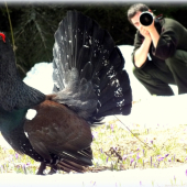 tetrov vs. lesniciarik