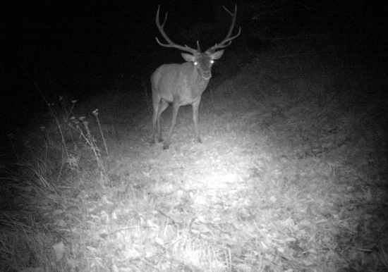 opäť raz, už pár rokov :)