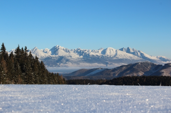Cestou z Královej Hole :-)