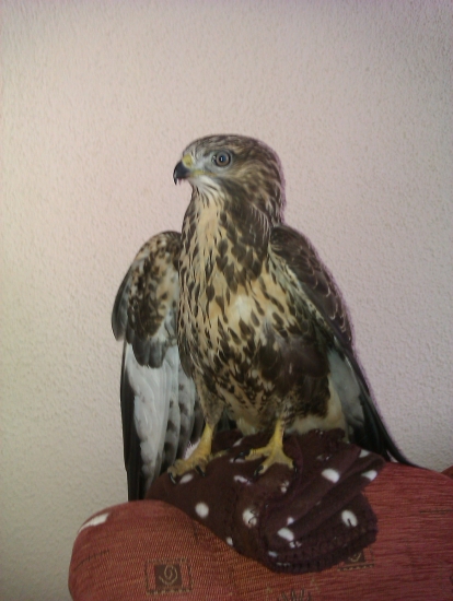 teraz si už lieta po prírode