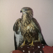 teraz si už lieta po prírode