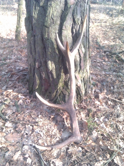 minuloročný 10-torak