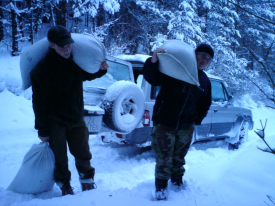 poobedné prikrmovanie