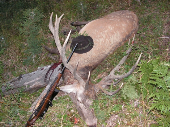 Keď sv. Hubert dopraje