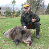 Diviačica z regulačnej polovačky pod sídliskom Hájik