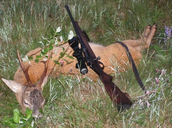 este raz zachranene foto z 11.6.