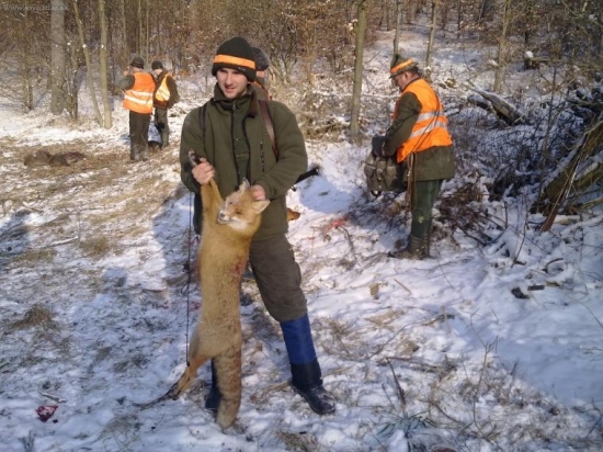 kamaratov lisiak z hostovacky u mna