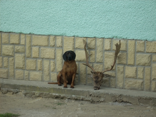 Aron a Daniel..