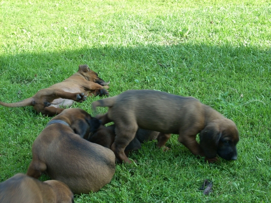 Malý dohladávači :)