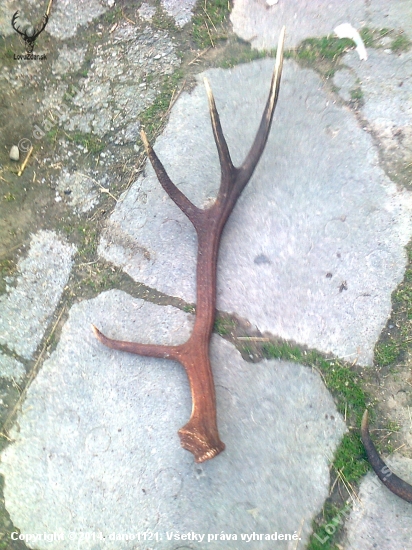 minuloročny....