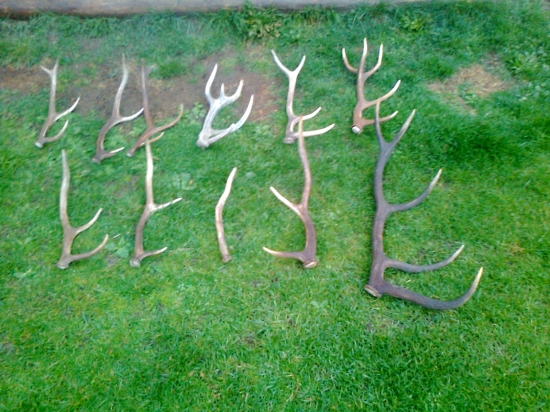 troška rozmazaná .....