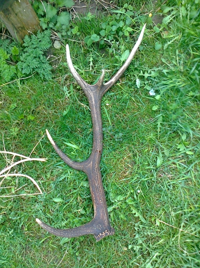 zase raz 10torák :D