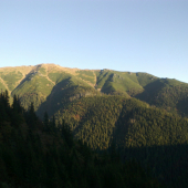 Jesen-ruja 2013