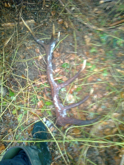 ešte jedna :D 3,10kg :)