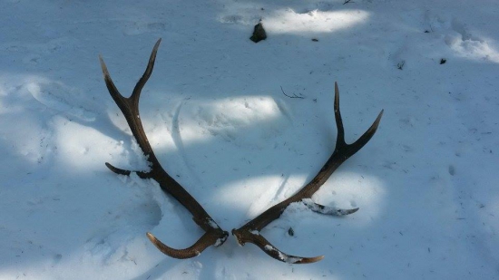 kamarátove štastie..