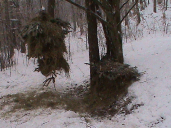 Dnesne zakrmovanie s kamaratom :)