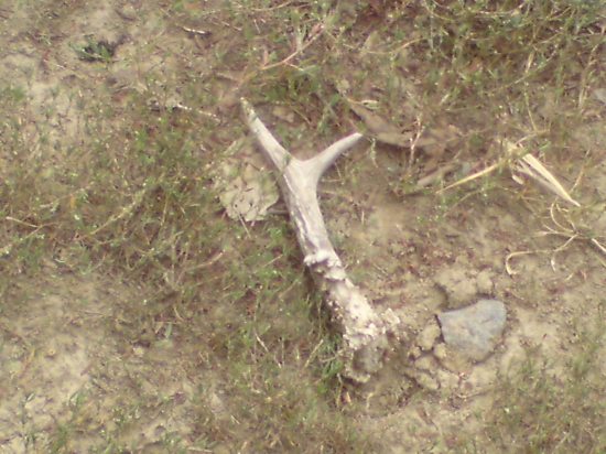 Ešte sa dá všeličo pekné nájst čo poteší :D