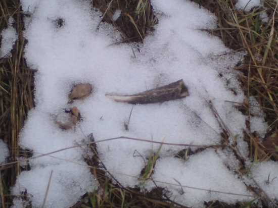 AJ toto poťeší :D