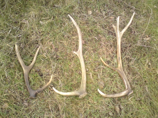 Išli sme na zhody ? ... išli ... našli sme ? ... Našli  :D ...