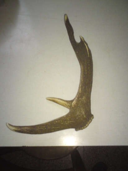 Ani Kôli velkosti nezanikol .. :D