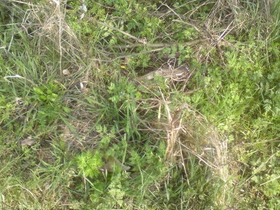 Aha ale čo to tu ...