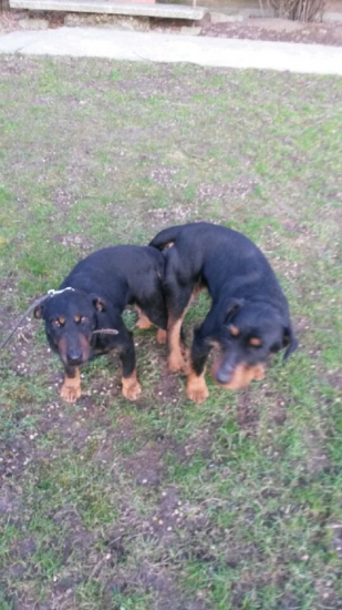 Skajka zo Skalickej a Art II Aluminium